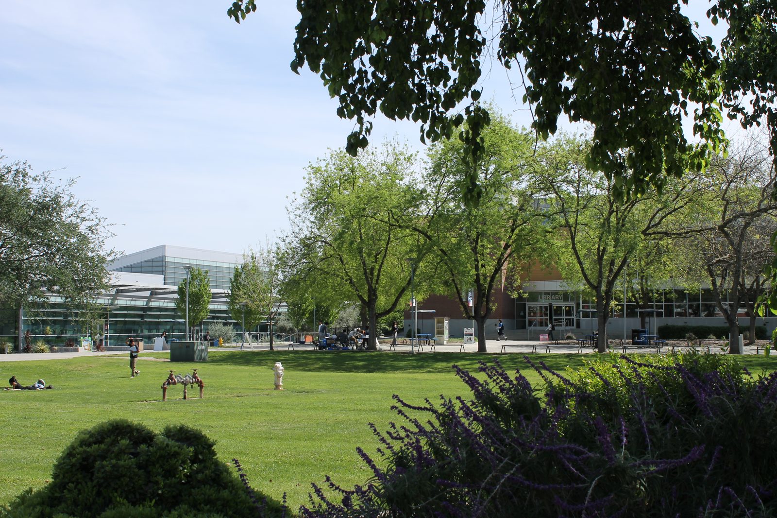 American River College main campus Student Center and Library from the quad