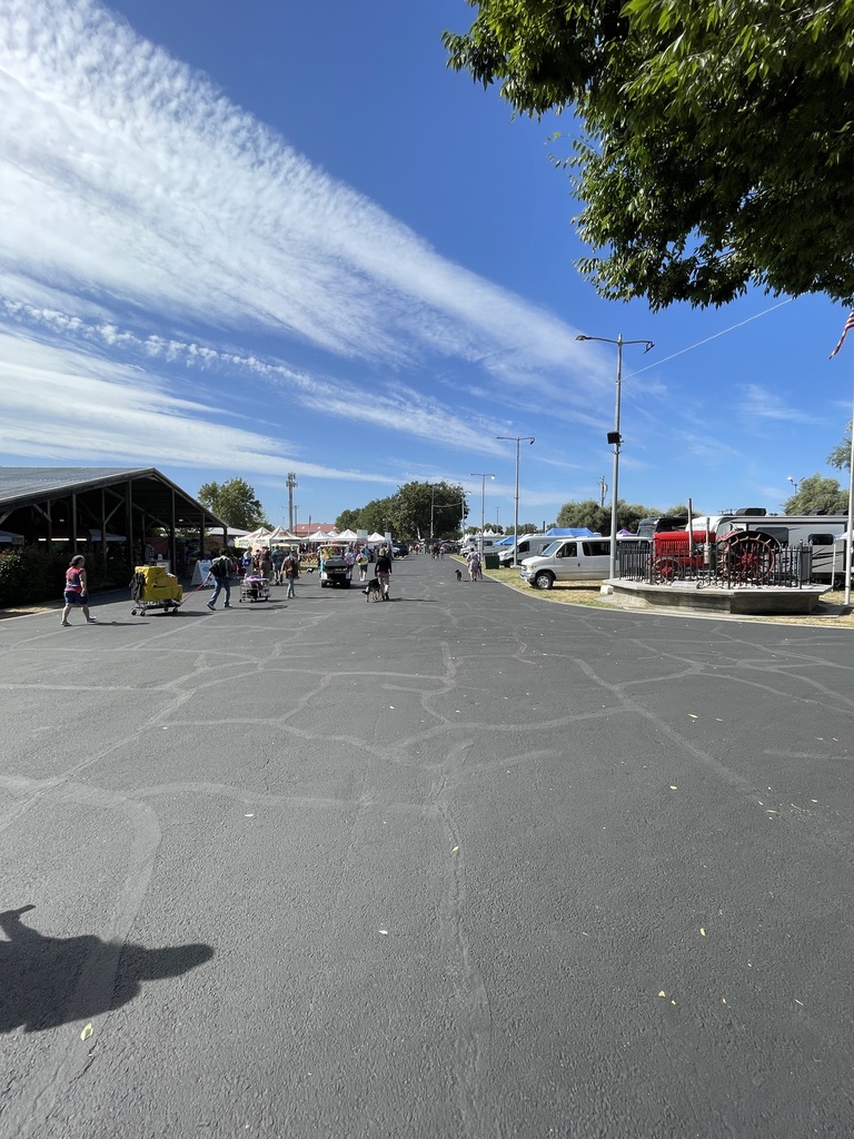 Sunny path through the outdoor Woofstock grounds with tents and people