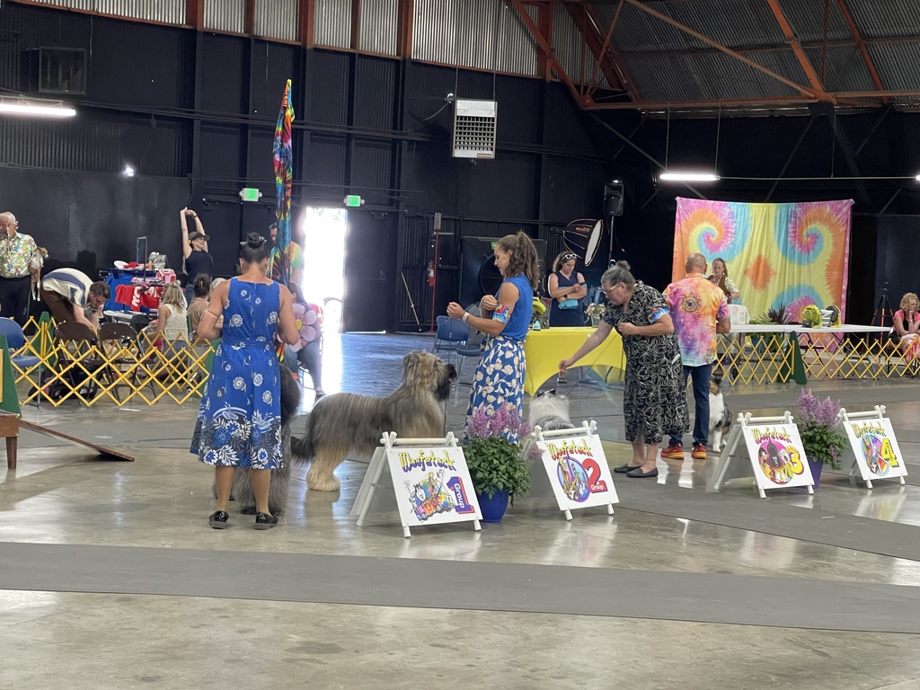 Bearded Collie and other herding breeds at Woofstock placement markers